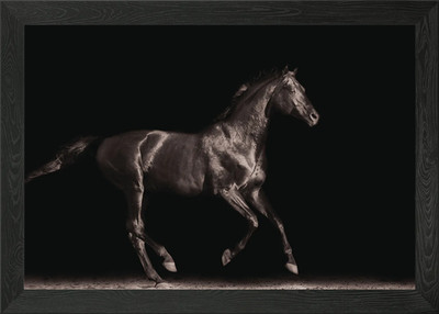 Pferd gerahmtes Wandbild Poster Leinwanddruck Bild