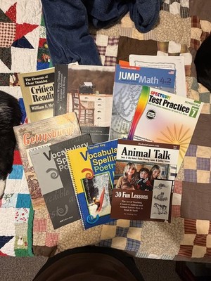 9 Books Homeschool lot. Language Arts Special Education Tutor High School