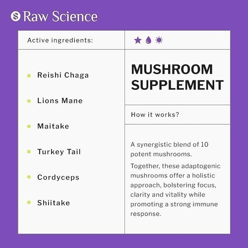 MUSHROOM NOOTROPIC SUPPLEMENT WITH LION'S MAN - FOCUS & BRAIN SUPPORT - Picture 4 of 6