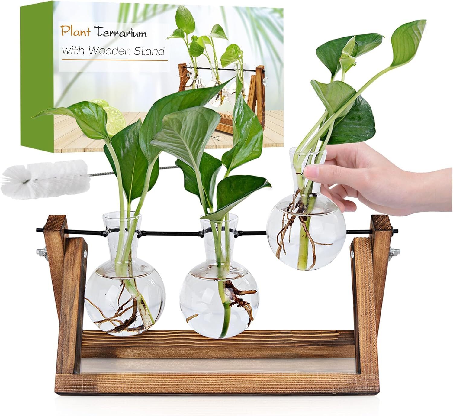 Plant Propagation Station with Wooden Stand for Unique Gardening Displays