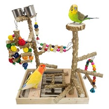 Bird Playground Natural Wood Parrot Perch Stand Bird Play Gym Colorful Ladder...