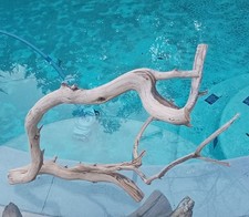 Large Driftwood Manzanita Aquascape Terariam Avery Snakes Fish 24"×19"×14" 