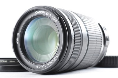 Canon Zoom Lens EF-S 55-250mm f/4-5.6 IS Near Mint Z3045