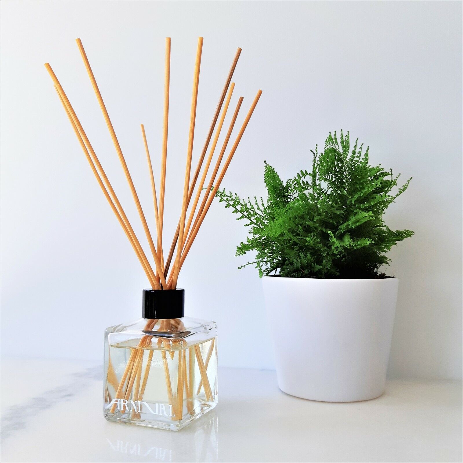 Creamy Vanilla - Reed Diffuser Oil - Kit - 6 oz.