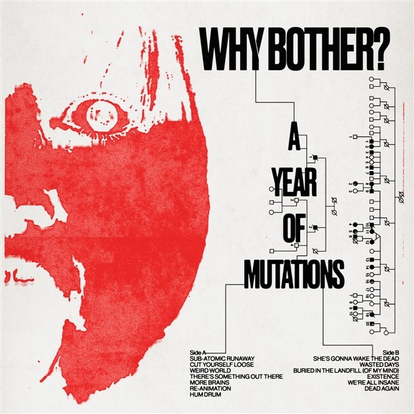 Зачем беспокоиться? A Year Of Mutations (Винил) (ИМПОРТ ИЗ Великобритании)