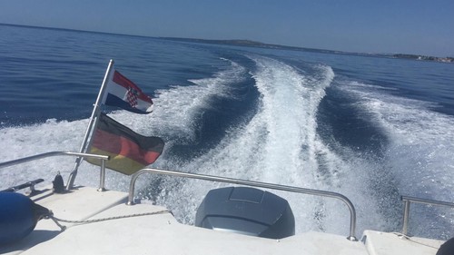 Motorboot 90PS Evinrude + Kajüte + Trailer – Gepflegt & Wartungsfrei - Bild 8 von 9