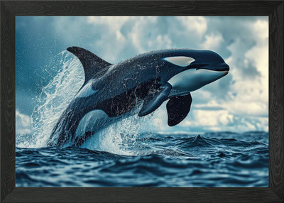 Orca Walmörder gerahmtes Wandbild Poster Leinwanddruck Bild