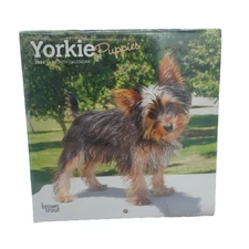 Browntrout,  Yorkshire Terrier Puppies 2024 Mini Wall Calendar