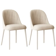 Dining Chairs Set of 2 Modern Kitchen Chairs for Dining Room Living Room White