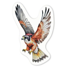 Aufkleber Sticker "Falke bereit, seine Beute zu fangen" (DW045185)