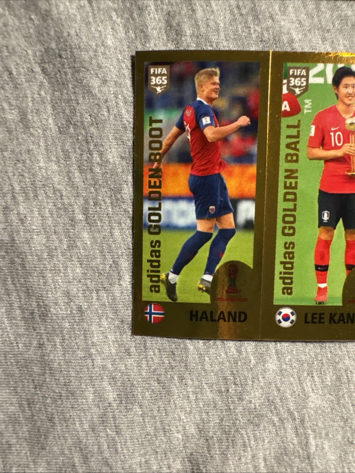 2019 Sticker Erling HAALAND True Rookie FIFA 365 RC view 7