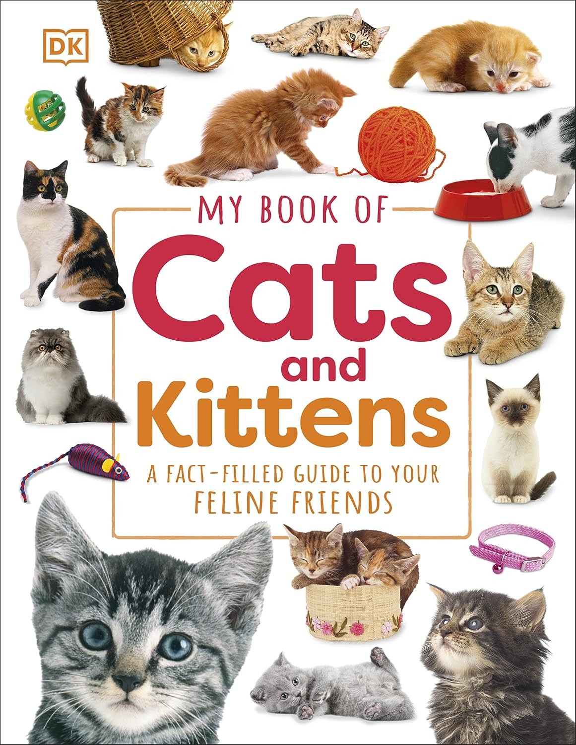 My Book of Cats and Kittens: A Fact-Filled Guide to Your Feline Friends - Image 7