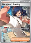 Pokemon - 255/217 - Black Belt's Training - Ascended Heroes