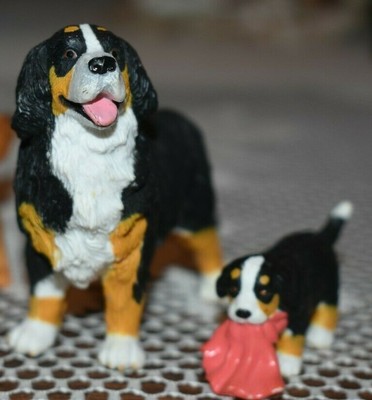 bernese mountain dog puppies for sale trading post