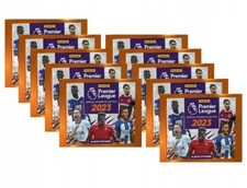 Premier League 2023 Panini 10 Packet / 50 Stickers