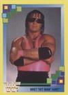 1993 Merlin Wrestling - Bret Hart #48