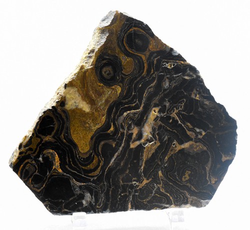 4.1" Black Brown Stromatolite Slab Polished Algae Fossil Gemstone Slice - Peru - Picture 3 of 4