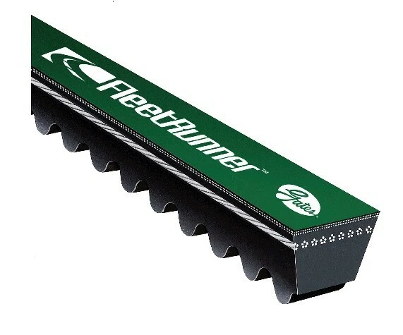 Heavy Duty Micro-V Belt OE GATES for 1982-1984 INTERNATIONAL COF9670 V6-9.3L Foto 2 de 4