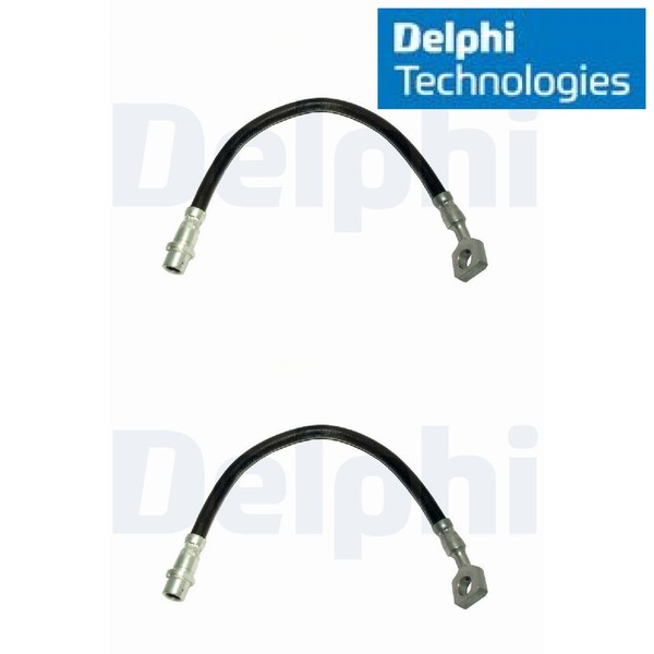 2X Bremsschlauch Delphi LH6417 2 BremsschläUche Rechts Links Hinterachse-image