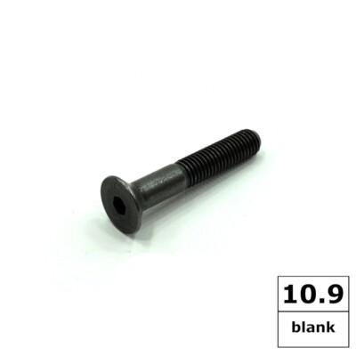 Countersunk Hex Socket Cap Screws 10.9 Metric Blank M14 - M24 c
