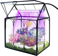 Large Glass Plant Terrarium Kit with Grow Light for Indoor Succulents Air