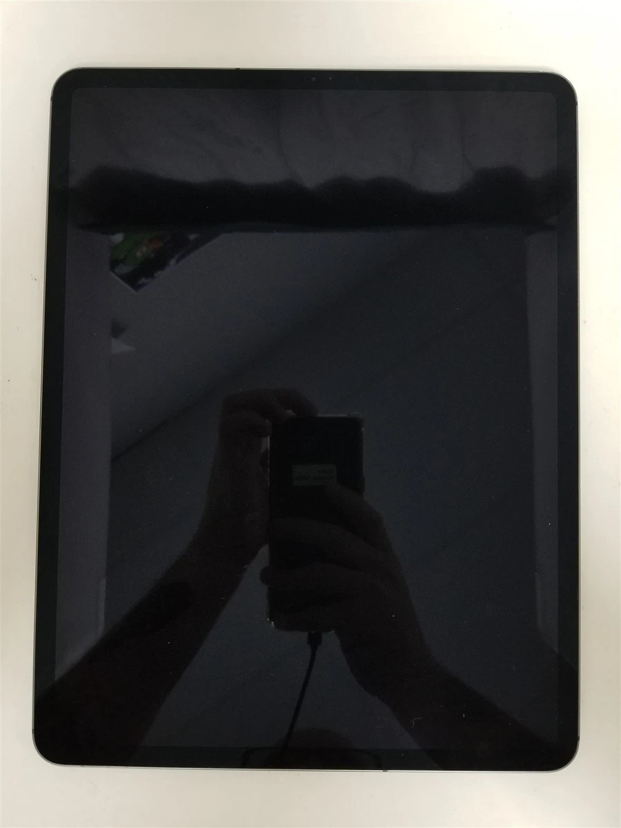 Apple iPad Pro (1st Generation) 11 in - 12.9 in Screen 256 GB