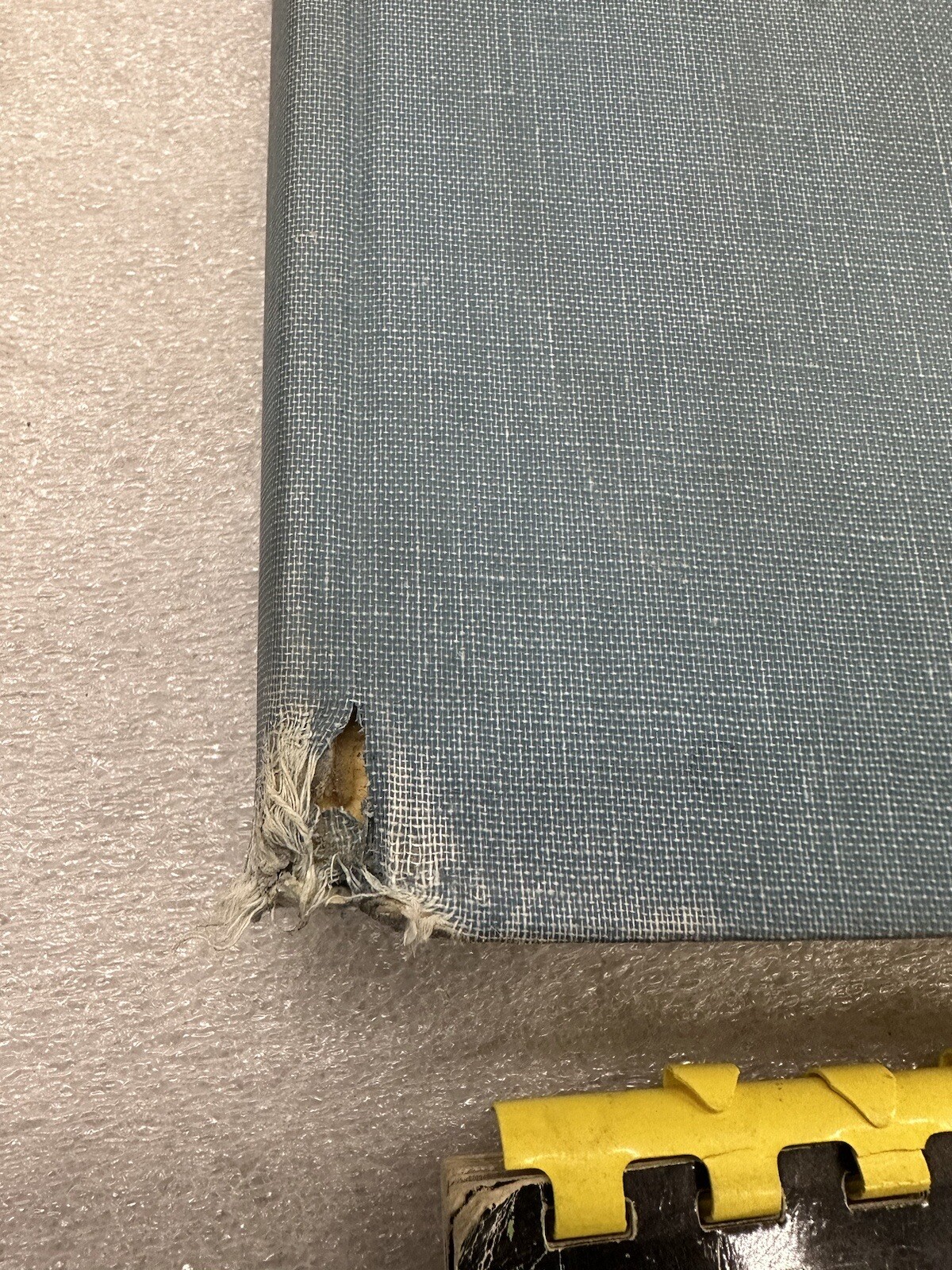 Picture 12 of 12