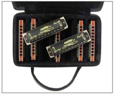 EASTTOP Diatonic Harmonica Set 10 Hole Harp Diatonic Mouth Organ Harmonica Lot