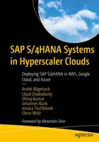 André BöGelsack (U. A.) | SAP S/4HANA Systems In Hyperscaler Clouds | Buch
