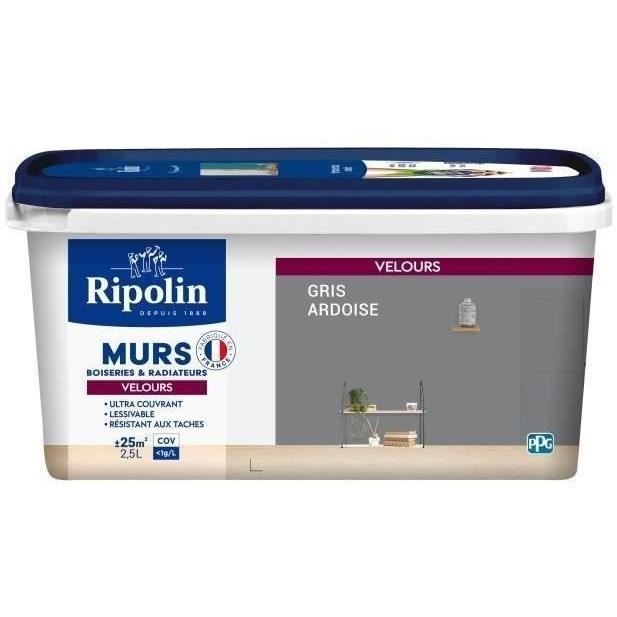 Peinture Ripolin gris ardoise pour masquer les défauts des murs et bois