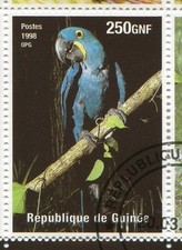 Guinea - 1998, Stamp 1480, Ara Hyacinth Macaw, Canceled