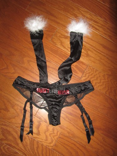 VINTAGE Victorias Secret Santa VALENTINE Christmas Panties V-string Garter Satin - Picture 2 of 16