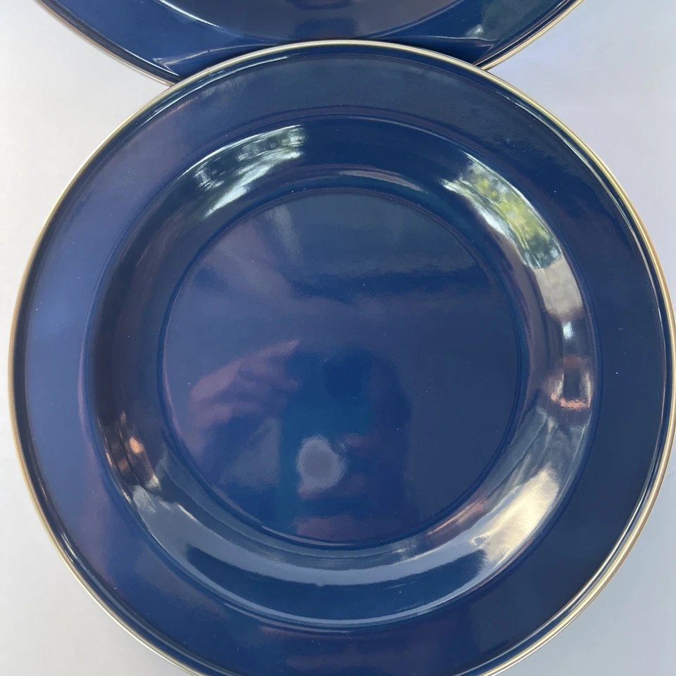 Discontinued Pottery Barn Enamelware Plate Blue 10”  Set x2 Metal Partyware NOS - Image 3 of 4