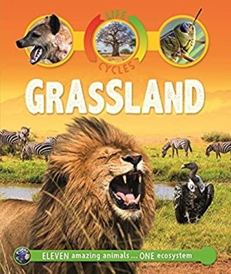Life Cycles: Grassland Hardcover Sean Callery