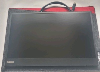 Lenovo ThinkVision M14 14 Zoll Flat Panel Monitor, USB-C, Filztasche, Gebraucht 