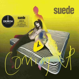 Suede Vinyl | eBay