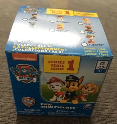 paw patrol mystery box