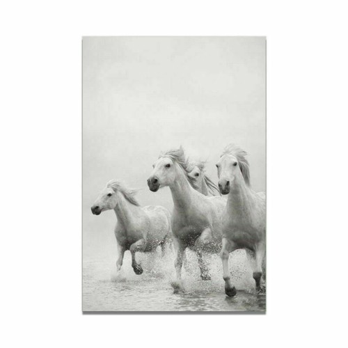 Animal White Horse Canvas Art Print Poster Living Room Wall Picture Modern Decor - Picture 16 of 17