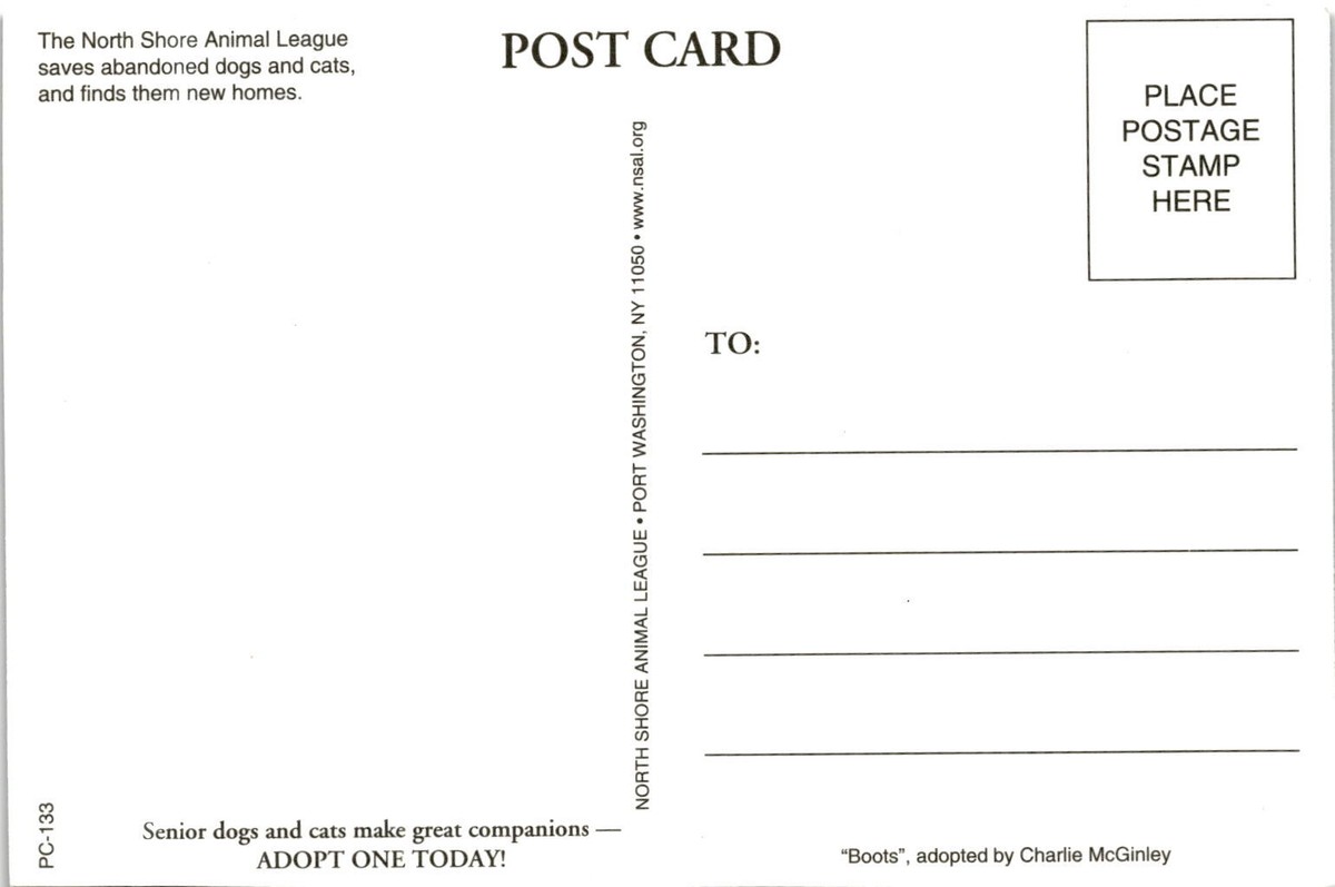 North Shore Animal League, Port Washington, NY 11050, Boots