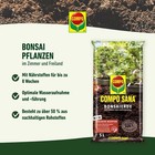 Bild 8 von 9