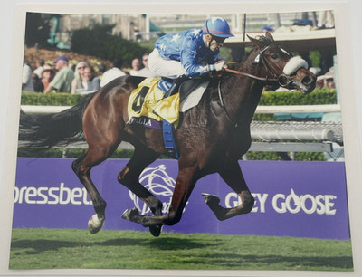 2011 Breeders Cup Grade 1 Juvenile Fillies Turf Flotilla & Lemaire 8x10 Photo