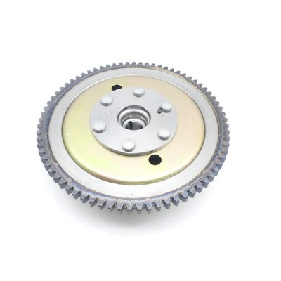 Polrad Rotor für Minarelli AM6 Motor für Generic Trigger X 50