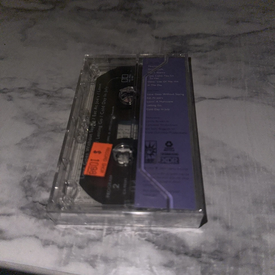 Suzy Bogguss Voices in the Wind (Cassette, 1992) - Image 2 of 3