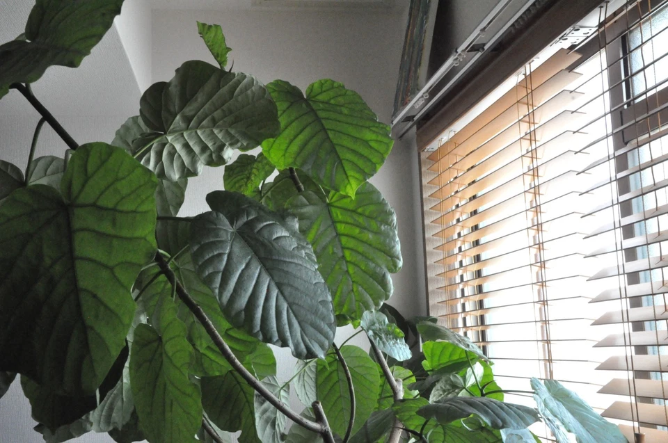 [Testé !/N comme neuf] Objectif Nikon AF-S DX NIKKOR 18-105 mm f/3,5-5,6 G ED... - Photo 3/4