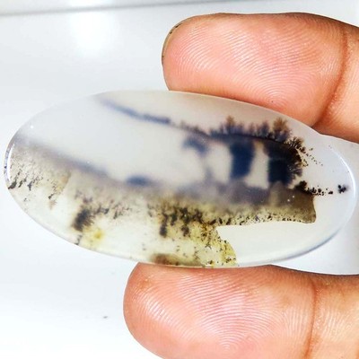 SCENIC DENDRITIC AGATE Oval Cabochon Rare Gemstone 40.80 CTs 23x48x3 mm Ce_101