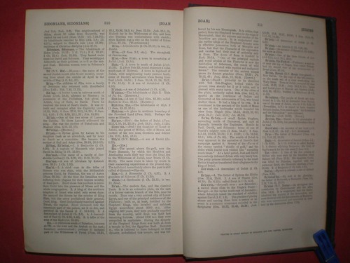 "Universal Bible Dictionary" von Buckland und Lukyn Williams - vierte Ausgabe - Bild 12 von 12