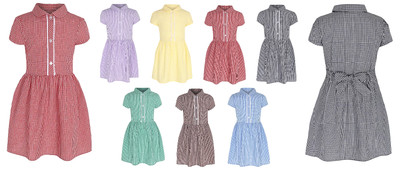 plus fit gingham school dress