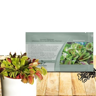 planting seeds tools Garden Planting Ruler