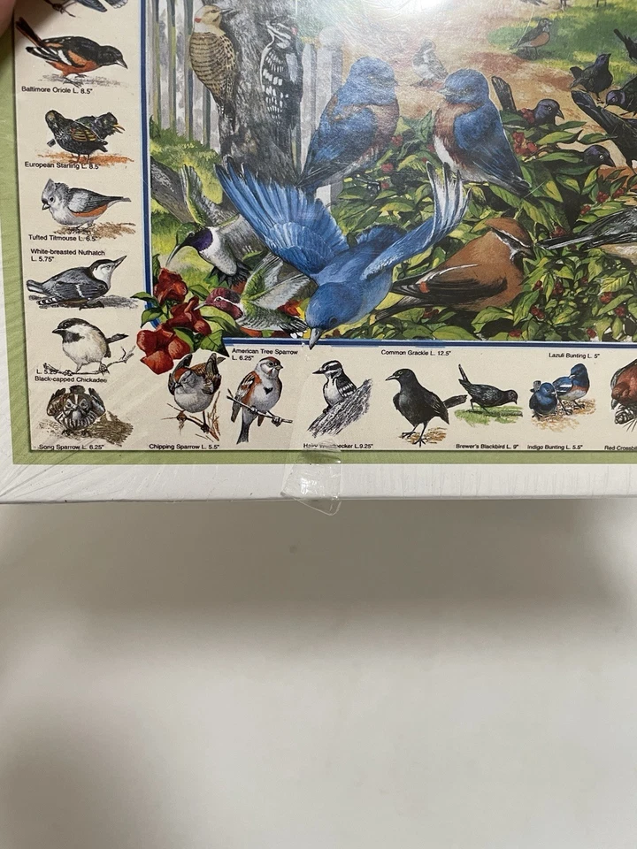 White Mountain Birds of The Backyard 1000pc Jigsaw Puzzle 2015 - Image 3 of 3