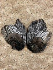 Wild Turkey Wings Feathers Fly Tying Fletching Tail Fan Rustic Cabin Decor Craft